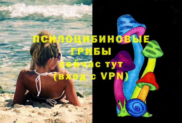 mdpv Майский