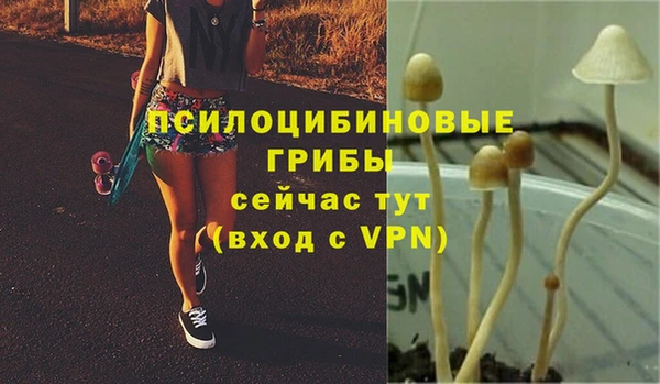 мескалин Магадан