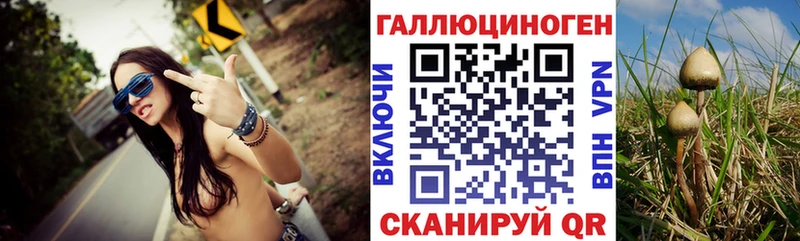 Галлюциногенные грибы прущие грибы  MEGA как войти  Пойковский 